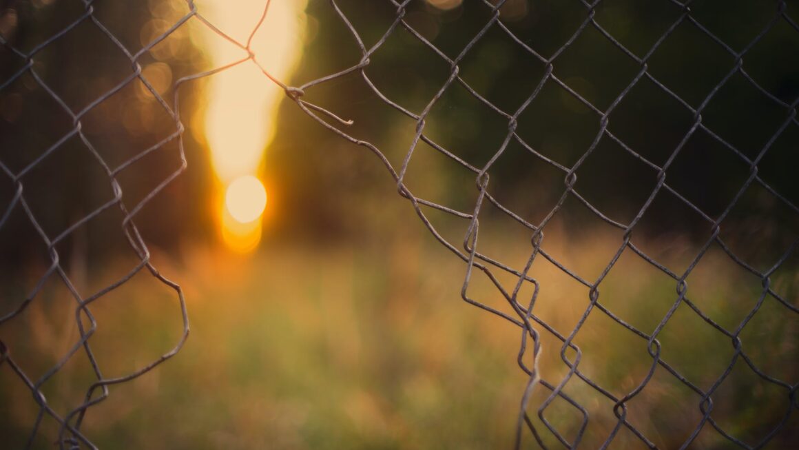 gray wire fence